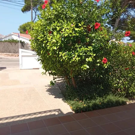 Piscis Cala Blanca (Menorca)