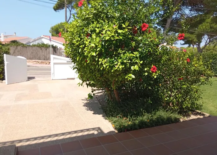 Piscis Cala Blanca (Menorca)